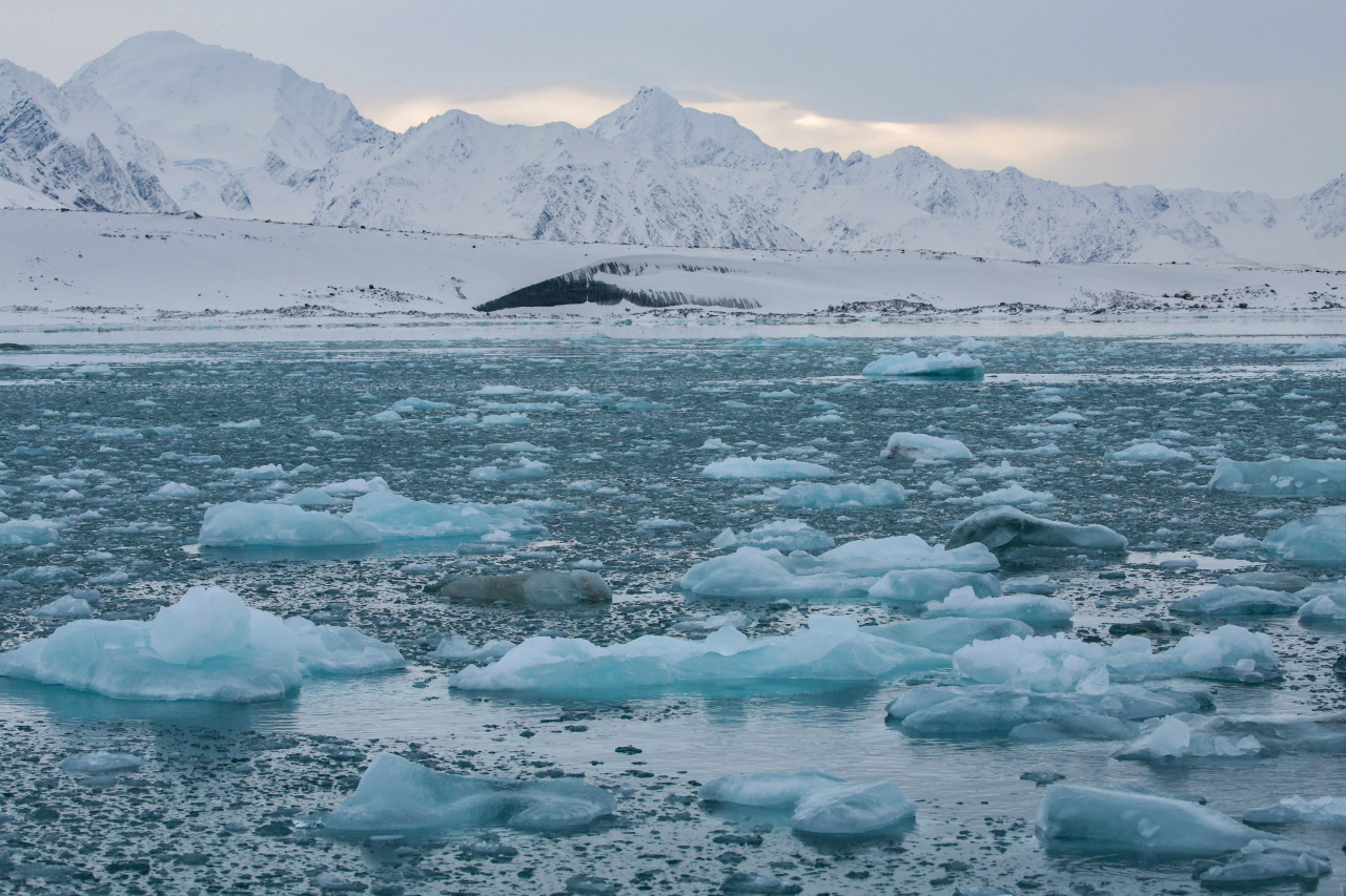 Innowacyjne technologie w monitorowaniu ekosystemów arktycznych